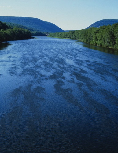 Delaware Water Gap Warren County, NJ (MF).jpg